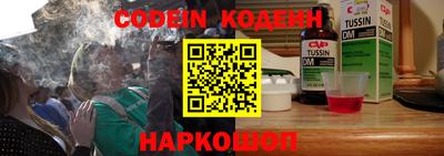индика Обнинск