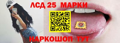 ECSTASY Новодвинск