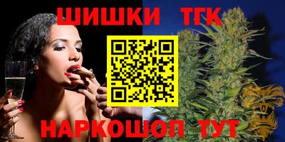 индика Обнинск