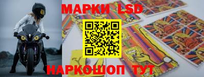 PSILOCYBIN Новокубанск