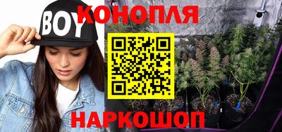 ECSTASY Новодвинск