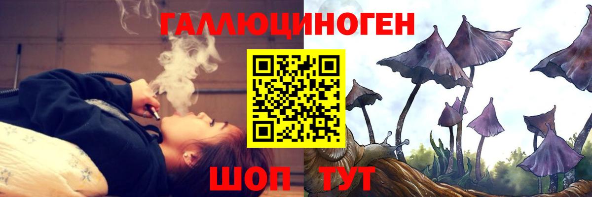 Галлюциногенные грибы GOLDEN TEACHER  Вход с VPN  Тимашёвск 